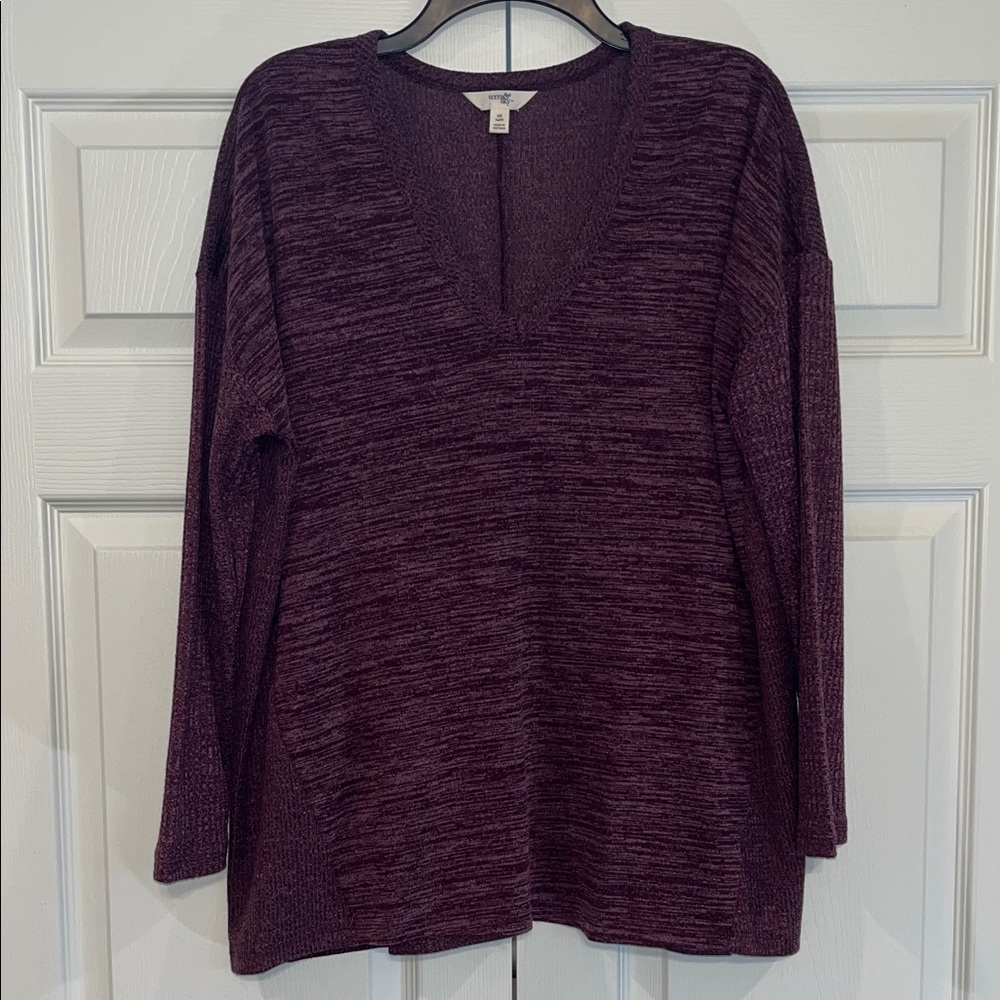 Terra & Sky Plum Long Sleeve Top